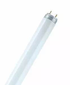 Лампа люминесцентная L 36W/965 36Вт T8 6500К G13 OSRAM 4008321111395 фото 3