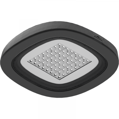 Светильник светодиодный SKYLINE LED/CAT 60W DS1 730 RAL9006 СТ 1707001240