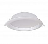 Светильник светодиодный PLED DL2 Fr/Wh 35Вт 6500К IP40 230В/50Гц JazzWay 1032478