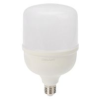 Лампа светодиодная высокомощная 50Вт 6500К хол. бел. E27 4750лм с переходником на E40 Rexant 604-071