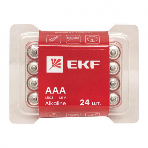 Элемент питания алкалиновый AAA/LR03 пластик. бокс (уп.24шт) EKF LR03-BOX24 фото 2