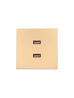 Розетка 2-м СП ZIMA IP20 USB механизм зол. LEZARD 704-3688-192