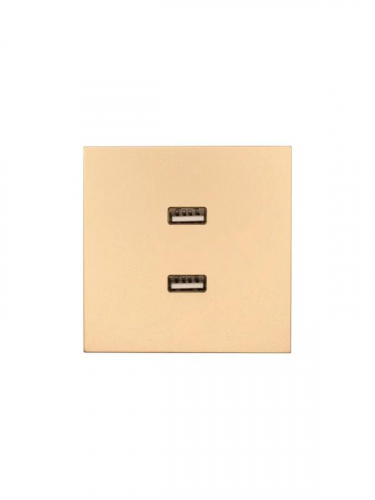 Розетка 2-м СП ZIMA IP20 USB механизм зол. LEZARD 704-3688-192