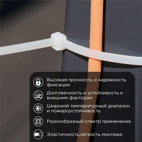 Хомут кабельный 4.8х250 нейл. бел. (уп.100шт) Rexant 07-0250-5 фото 2