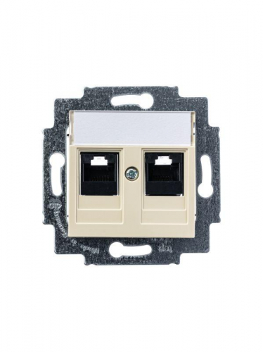 Розетка информационная Levit двойная 2хRJ45 кат. 5e сл. кость ABB 2CHH295118A6017 фото 3