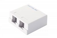 Коробка настенная 2-порт. бел. Eurolan 12B-00-02WT