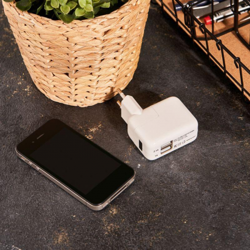 Устройство зарядное сетевое 2хUSB переходник+адаптер (СЗУ) 5В 2100мА+1000мА Rexant 18-1187 фото 2