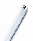 Лампа люминесцентная L 15W/840 LUMILUX 15Вт T8 4000К G13 OSRAM 4050300446004