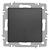 Кнопка Accent 6-109-07 10А-250В IP20 СУ графит Intro Б0063617