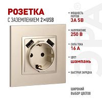 Розетка 16А 250В 2P+E с 2хUSB 5В-3А защ. шторки Elegance шампань 14-4109-04 ЭРА Б0047870
