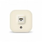 Розетка компьютерная ОП IP20 сл. кость IONICH 1432