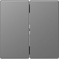 Клавиша для 2-кл. выкл. Merten D-Life SD нерж. сталь SchE MTN3400-6036