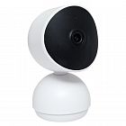 Камера поворотная Умная Connect Wi-Fi бел. EKF scwf-usb