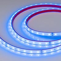 Лента светодиодная RTW-PFS-A60-11mm 24V Blue 4.8Вт/м IP68 2835 герметичная (уп.5м) Arlight 034160