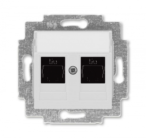 Розетка информационная Levit двойная 2хRJ45 кат. 5e сер. ABB 2CHH295118A6016