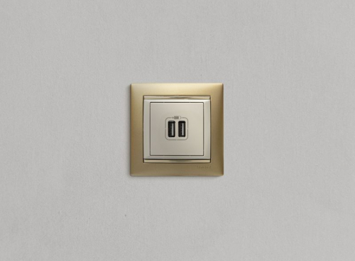 Розетка USB 2-м СП Valena сл. кость IEK 774170 фото 3