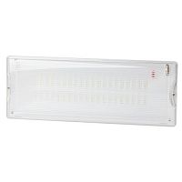 Светильник светодиодный DPA-301-0-65 IP65 40LED 3ч аварийный непостоянный Проектный Эра Б0044405