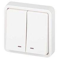 Выключатель Эксперт 11-1525-01 двойн. с подсветкой IP55 10АХ-250В СУ бел. Эра Б0063304