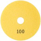 Круг алмазный шлифовальный гибкий (АГШК) 100х3мм Р100 Special Cutop 76-595