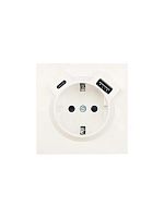 Розетка 1-м СП ZIMA IP20 Type-C + USB с заземл. механизм сл. кость LEZARD 704-9088-181TC