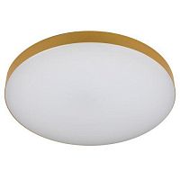 Светильник светодиодный Relict 48 Pult SPB-6-60-RC MG 60Вт 3000-6500К потолочный с ДУ золото ЭРА Б0059498