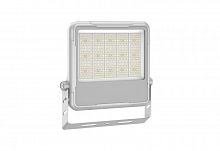Прожектор светодиодный СДО FL 21 C 150W N 840 GR CL 358х364х49мм 150Вт 4000К IP66 уличный сер. Русский Свет 17082123357