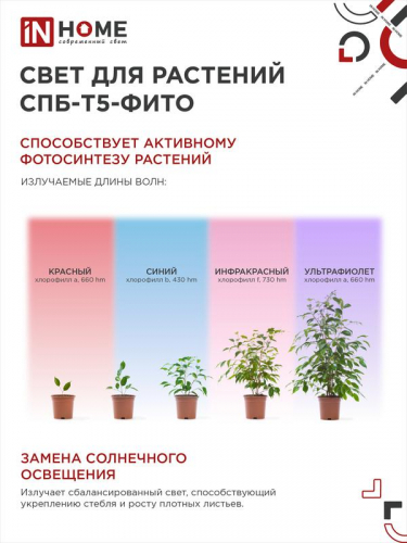 Светильник светодиодный СПБ-Т5-ФИТО 10Вт 230В 570мм IN HOME 4690612033099 фото 4