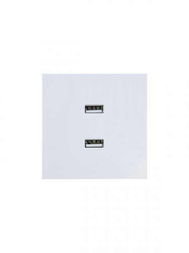 Розетка 2-м СП ZIMA IP20 USB механизм бел. LEZARD 704-0288-192 фото 3