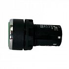 Кнопка нажимная моноблочная 22мм IP 40 1НО+1НО зел. EMAS MB101DY