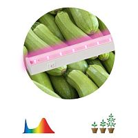 Светильник светодиодный LLED-05-T5-FITO-9W-W линейный ФИТО ЭРА Б0028199