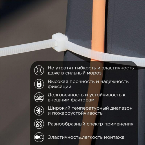 Хомут 3.6х250мм морозостойкий бел. (уп.100шт) Rexant 87-0250 фото 2