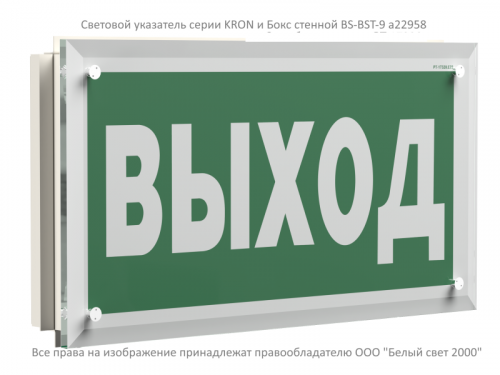 Указатель световой BS-KRON-71-S1-INEXI2 Белый свет a18971 фото 6