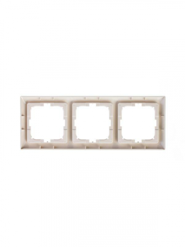Рамка 3-м Basic с декор. накл. сл. кость ABB 2CKA001725A1486 фото 3