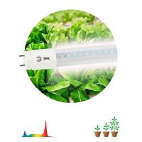 Лампа светодиодная FITO-18W-Ra90-Т8-G13-NL 18Вт T8 линейная 92LED 2835 IP20 35000ч для растений полноспектральная стекло Эра Б0042987