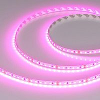 Лента светодиодная RT-A120-8mm 24V Magenta 9.6Вт/м IP20 2835 (уп.5м) Arlight 043381