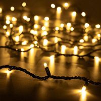 Гирлянда светодиодная ARD-STRING-PRO-10000-GREEN-100LED-FLASH WARM230В 7Вт IP65 Ardecoled 025855
