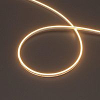 Лента светодиодная MOONLIGHT-SIDE-T-M196-03x06mm 24V Warm 2700К 7.2Вт/м IP54 2216 wire x2 прямой вывод кабеля герметичная (уп.5м) Arlight 039571