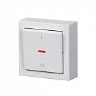 Выключатель 1-кл. 2п ОП Impressivo 16А IP20 бел. ABB 2TKA00001840