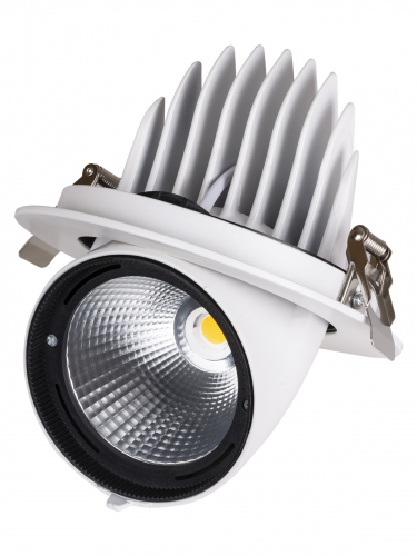 Светильник встраиваемый поворотный "Акцент-1" LED DSL-01-040-WW 40 Вт, 24°, 3000 К, 90 Ra, IP40, TDM фото 2