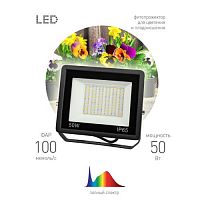 Светильник светодиодный FITO-50W-Ra90-LED для цветения и плодоношения ЭРА Б0047875