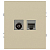 Розетка комбинированная СП Arktik RJ45 + TV 16А IP20 250В шампань Эра Б0070497