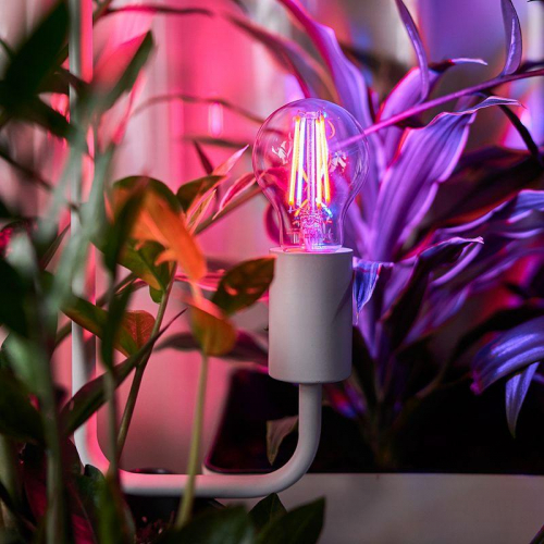 Лампа светодиодная филаментная 11.5Вт A60 грушевидная прозрачная E27 1150лм 0.25% Blue 440-470Nm 0.75% Red 630-670NmK для растений Rexant 604-146 фото 4