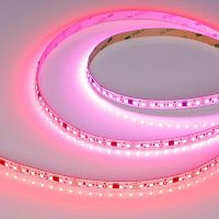 Лента светодиодная SPI-A120-10mm 24V RGB-PX6-BPT 23Вт/м IP20 2835 бегущий огонь (уп.5м) Arlight 046871
