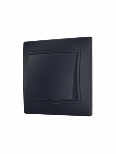 Вывод кабеля СП MIRA IP20 черн. LEZARD 701-4242-197 фото 2