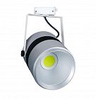 Светильник TSF33-29-W-01 Новый Свет 400287