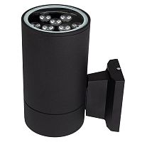 Светильник светодиодный PWL-200110/30D 1х9Вт 3000К IP65 BL архитектурный Pro JazzWay 5064614