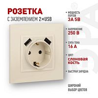 Розетка 16А 250В 2P+E с 2хUSB 5В-3А защ. шторки Elegance сл. кость 14-4109-02 ЭРА Б0047868