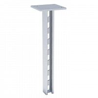 Стойка STRUT двойная 41х21 L300 сталь EKF stsd412103
