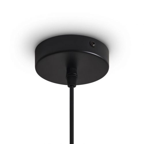 Светильник Topi 40Вт E27х1 IP20 подвесной Freya FR5503PL-01B1 фото 5