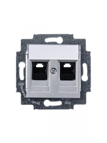 Розетка информационная Levit двойная 2хRJ45 кат. 5e серебр. ABB 2CHH295118A6070 фото 2